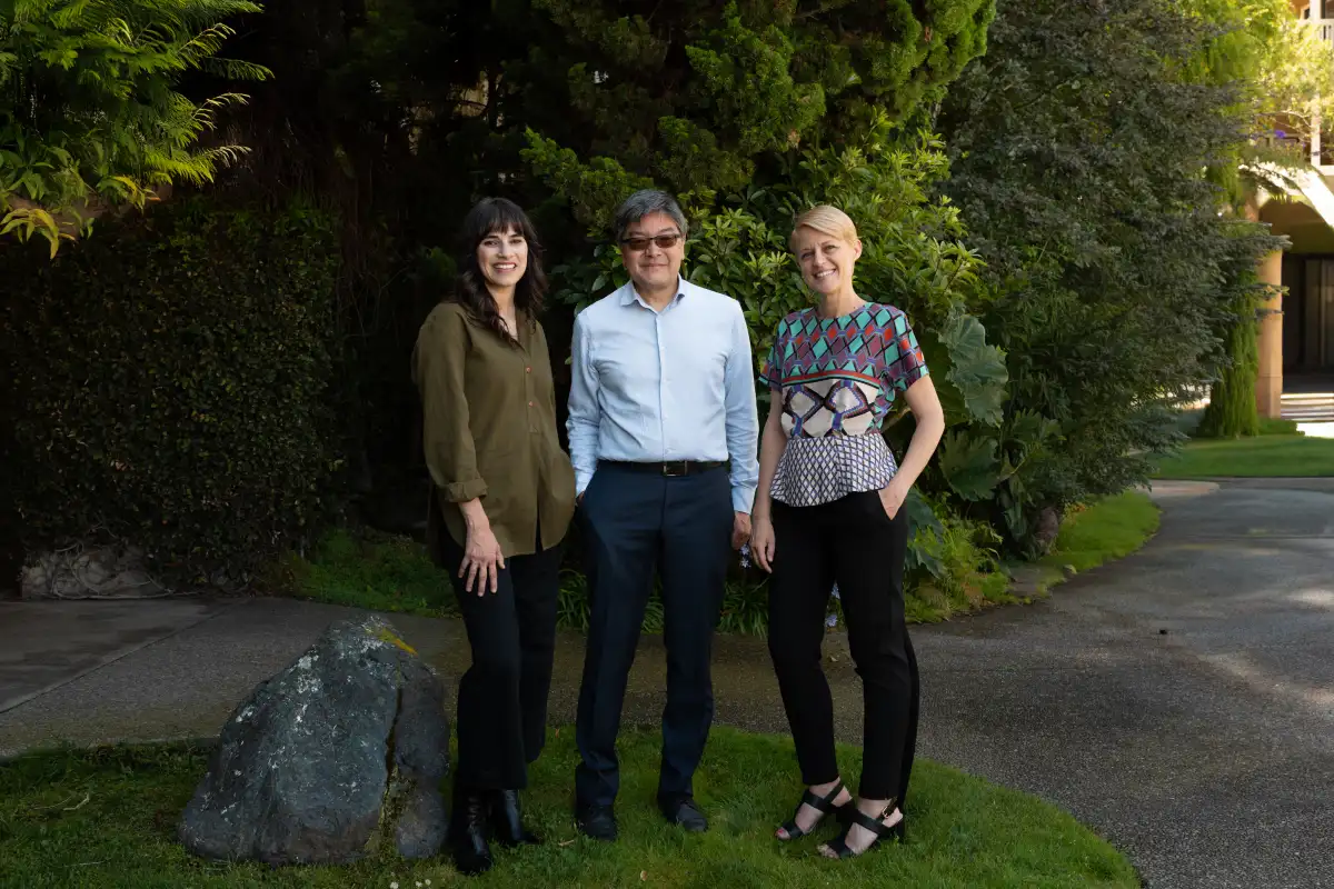 Neo Law Group Professional Team